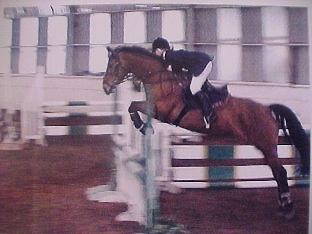 For Lesson bookings ring Sue or Sally 